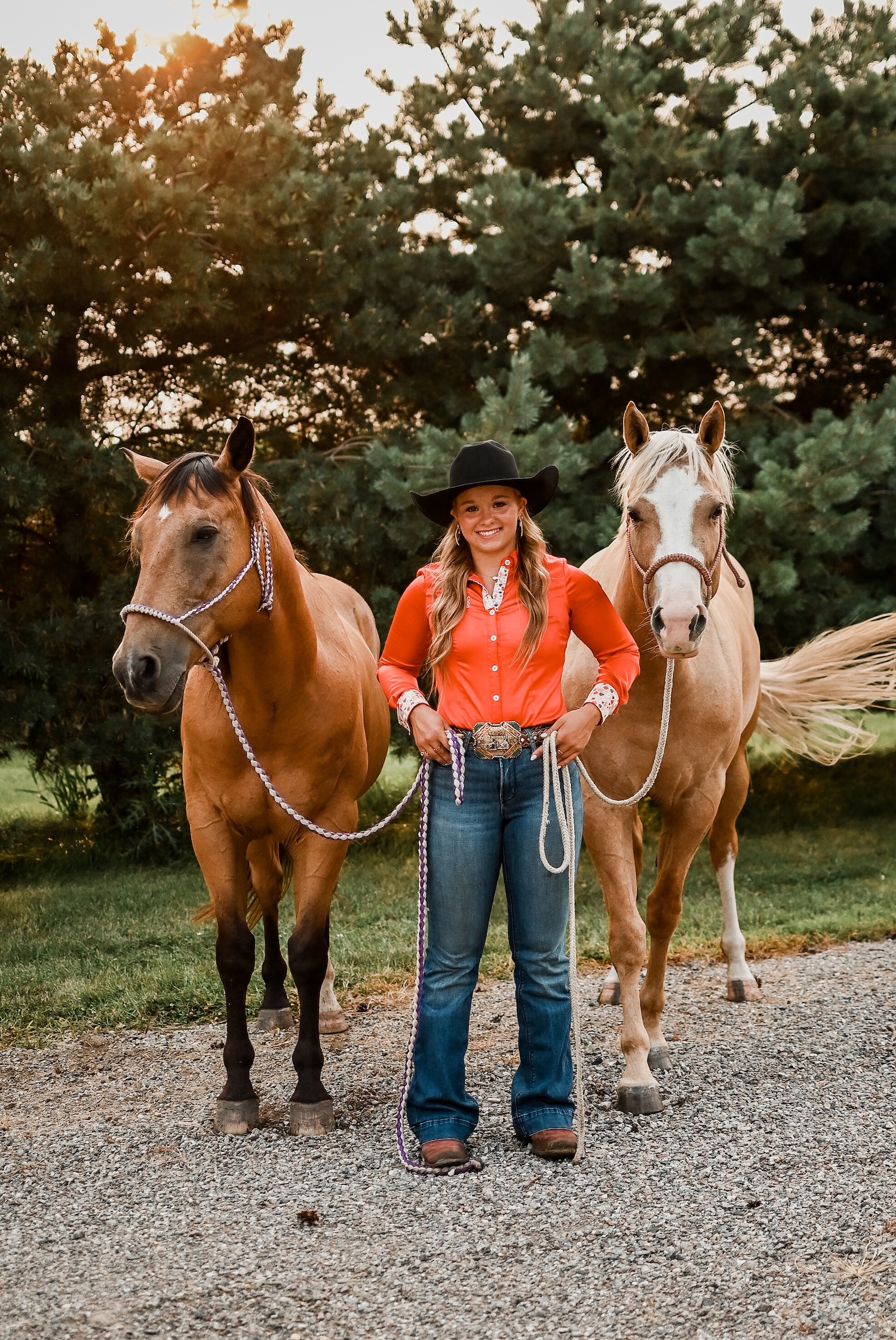 My two light colored horses