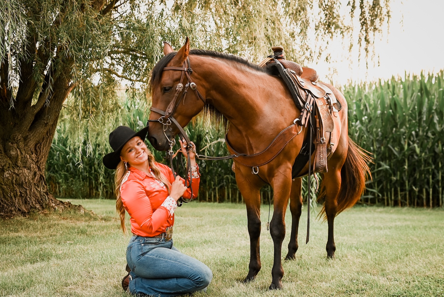 All around horse photoshoot